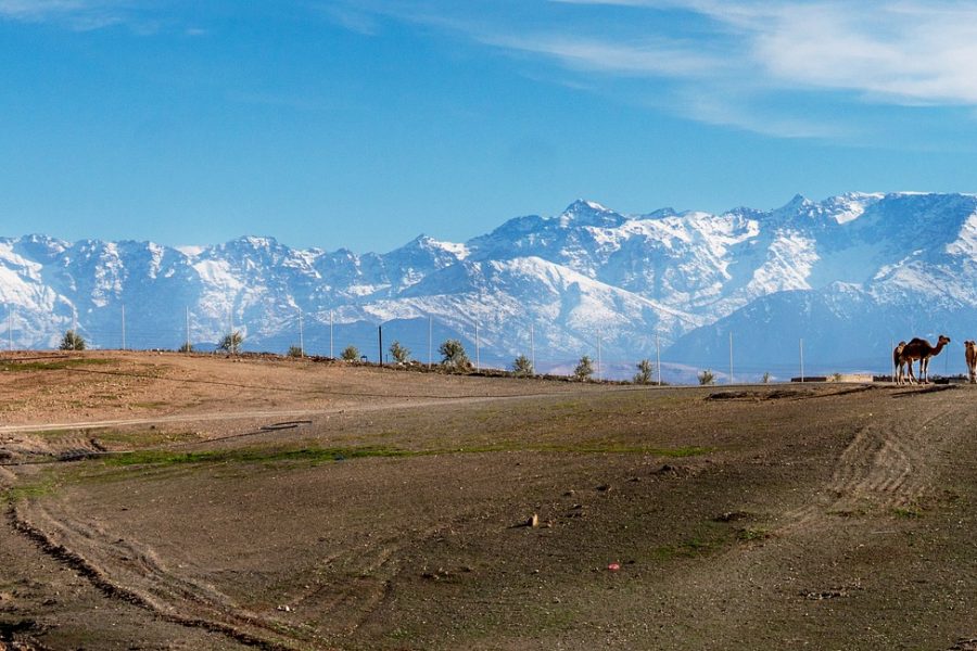 Agafay Desert and enjoy Camel Rides on this day trip from Marrakech