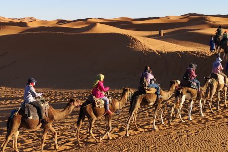 Marrakech Sahara Travel
