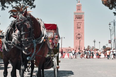Marrakech Sahara Travel