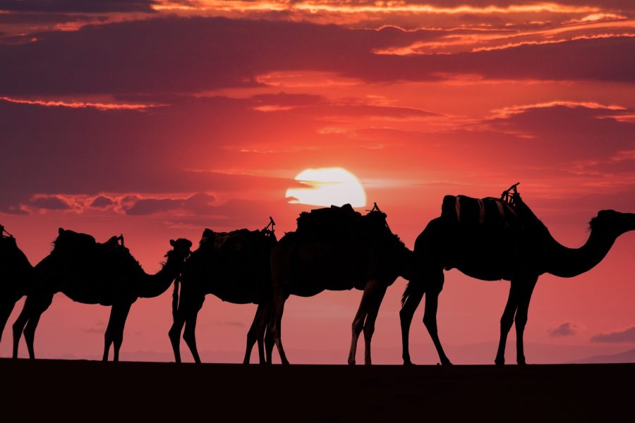 5-day Moroccan Desert Tour from Tangier to Marrakech